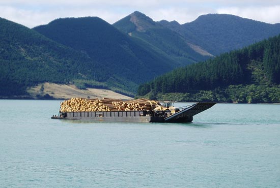 Transporting logs by barge through the Marlboough Sounds