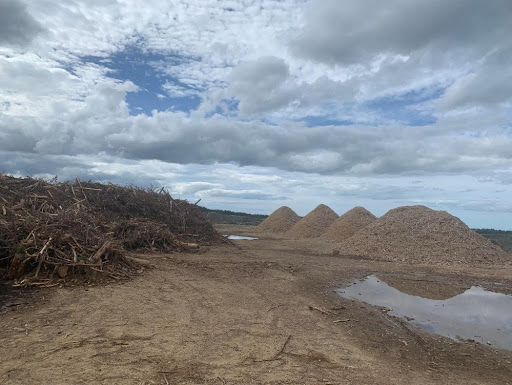 Four large piles of woodchip on the right side of a forestry worksite. to theft is the front of a larger pile of forestry slash/debris