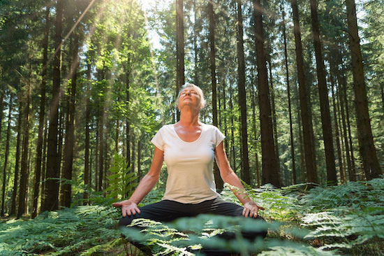 Woman meditating among ferns as sunlight filters down from the pine forest canopy
